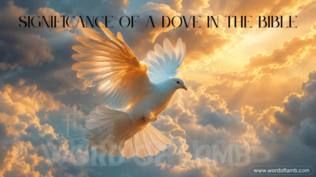 Significance of a Dove in the Bible